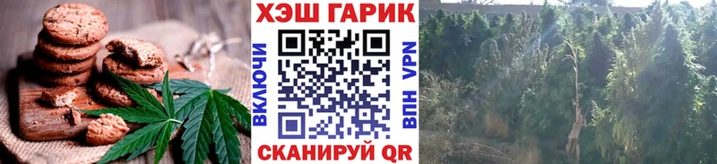 Cannafood марихуана  хочу наркоту  Фурманов 
