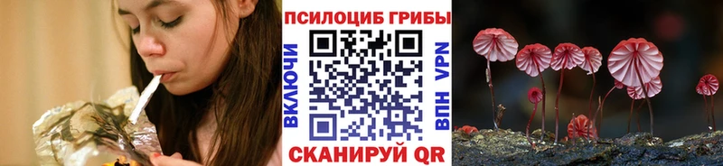 Псилоцибиновые грибы GOLDEN TEACHER  Фурманов 